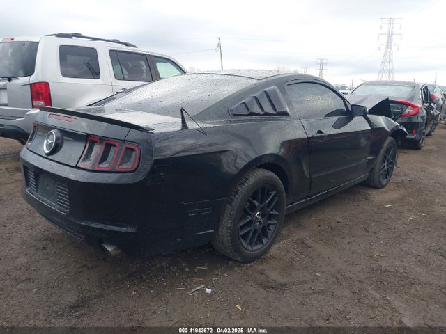 1ZVBP8AM0E5279980 Ford Mustang V6