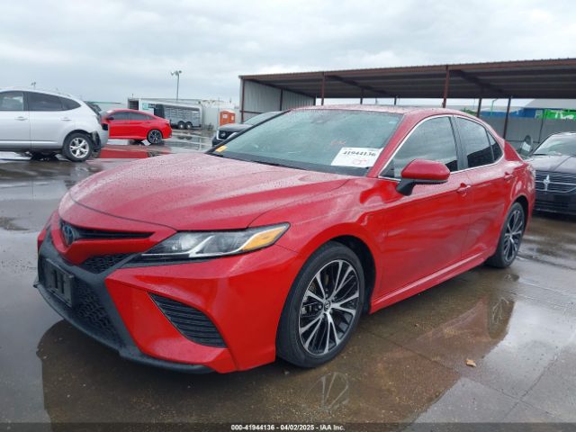 4T1B11HK8KU239899 Toyota CAMRY SE