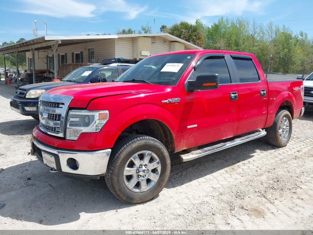 1FTFW1ETXEKG41332 Ford F-150 Xlt