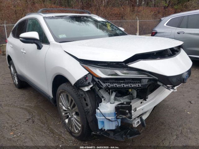 2023 TOYOTA VENZA JTEAAAAH1PJ130932