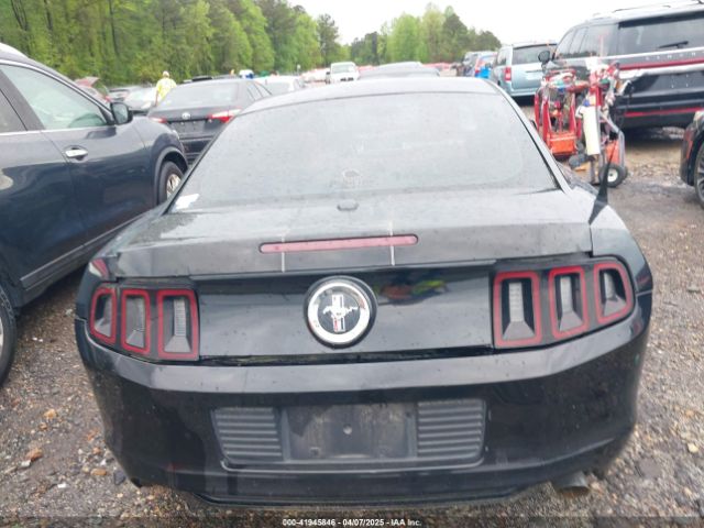 1ZVBP8AM8E5304706 Ford Mustang V6 Premium