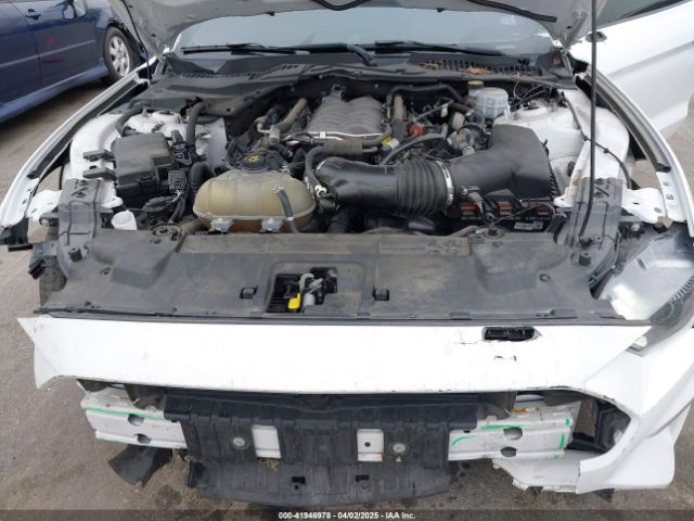 1FA6P8CF2L5189929 Ford Mustang Gt Fastback