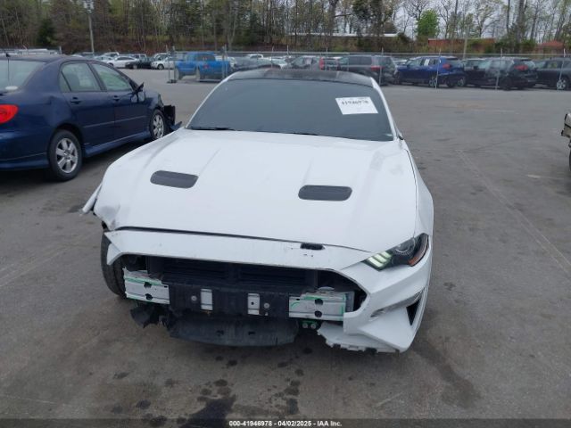 1FA6P8CF2L5189929 Ford Mustang Gt Fastback