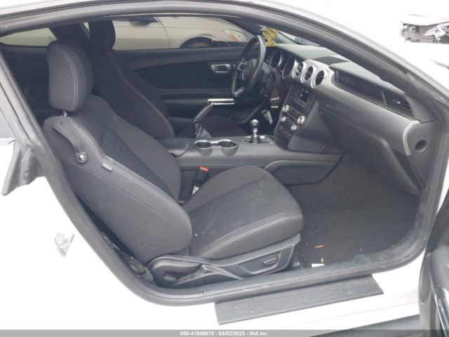 1FA6P8CF2L5189929 Ford Mustang Gt Fastback