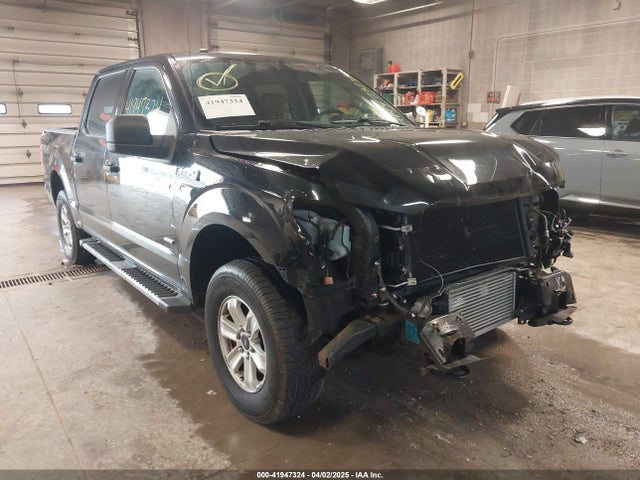 1FTEW1EG3GFB29227 Ford F-150 Xlt