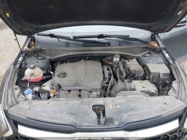 5XYK6CAF8PG025115 KIA Sportage X-line