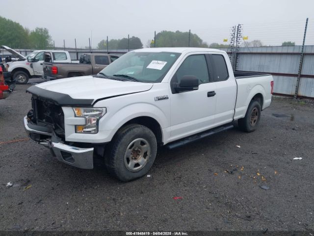 1FTEX1C86FKF12495 Ford F-150 Xlt
