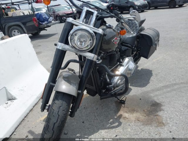2019 HARLEY-DAVIDSON FLSL 1HD1YDJ69KB019627 Photo 1