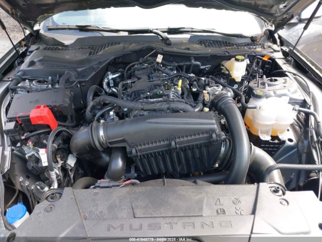 1FA6P8TH7R5138548 Ford Mustang Ecoboost Fastback