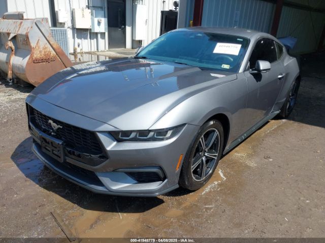 1FA6P8TH7R5138548 Ford Mustang Ecoboost Fastback