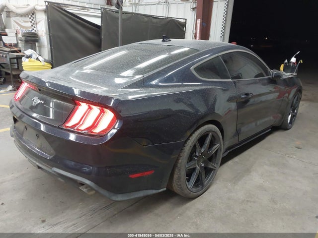 Ford Mustang Ecoboost Fastback 2021 1FA6P8TH0M5110017 Image 4