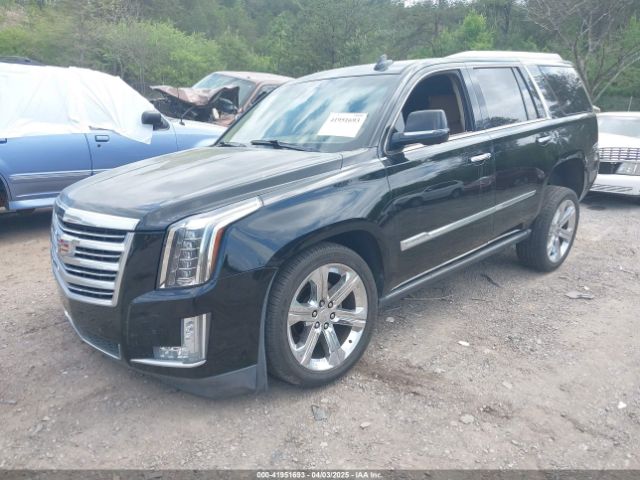 1GYS3DKJ7GR374845 Cadillac Escalade Platinum