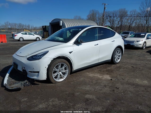 2021 TESLA MODEL Y 5YJYGDEE9MF239726 Photo 1