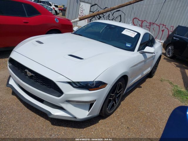1FA6P8TH2M5135131 Ford Mustang Ecoboost Fastback