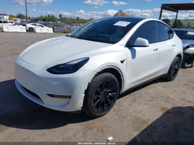 7SAYGDED4PF976735 Tesla Model Y Rwd