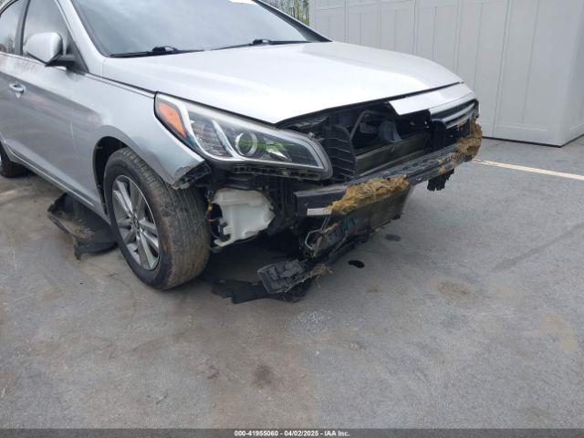 5NPE24AF5HH531798 Hyundai Sonata