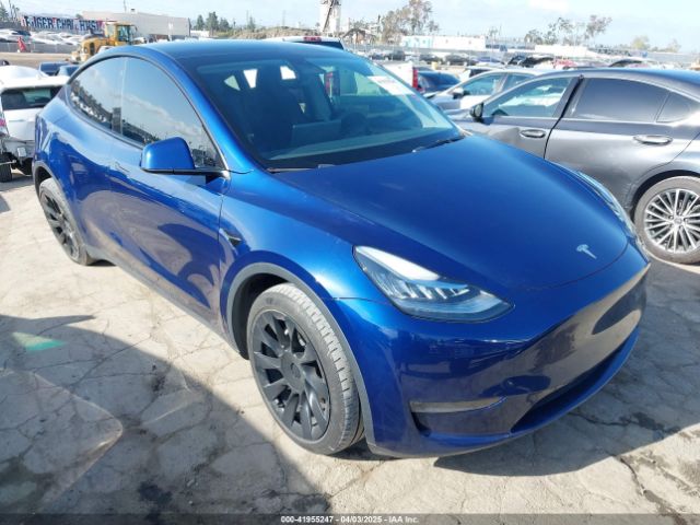 2023 TESLA MODEL Y 7SAYGAEE1PF617933