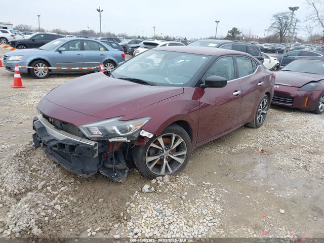 1N4AA6AP7HC379093 Nissan Maxima