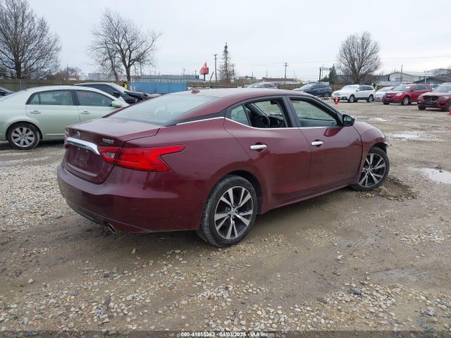 1N4AA6AP7HC379093 Nissan Maxima