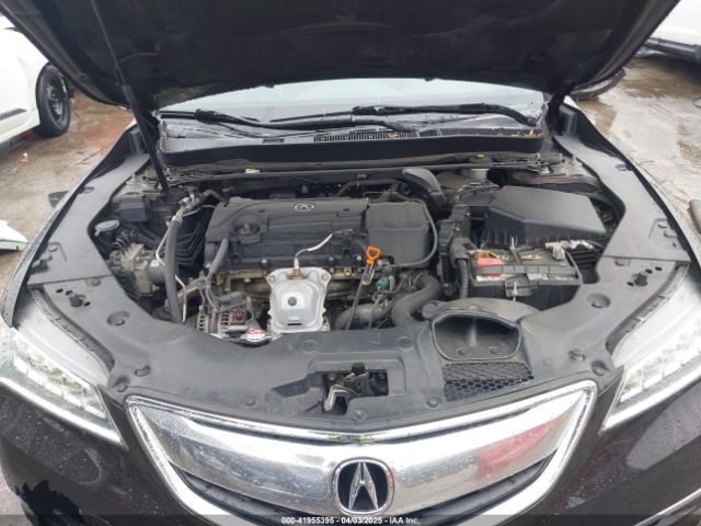 19UUB1F5XGA015275 Acura TLX TECH