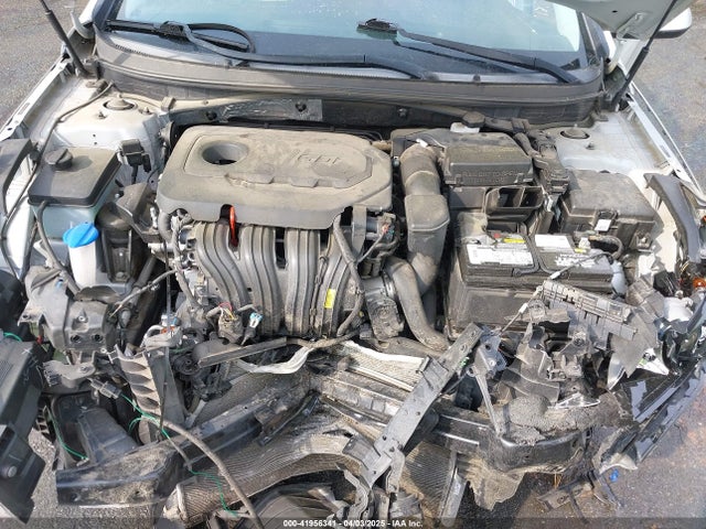 5NPE24AF7GH323856 Hyundai SONATA SE