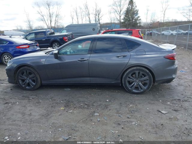 19UUB5F55MA013811 Acura Tlx A-spec Package