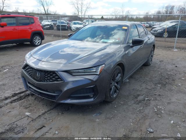 19UUB5F55MA013811 Acura Tlx A-spec Package
