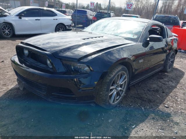 1ZVBP8CF3E5201000 Ford Mustang Gt Premium