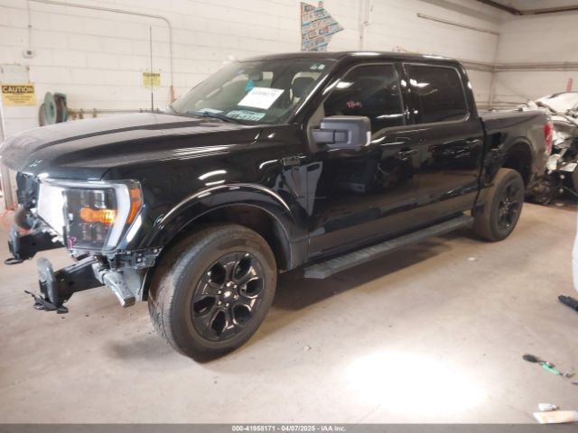 1FTFW1E50PFC24315 Ford F-150 Xlt