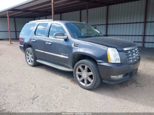2011 CADILLAC ESCALADE 1GYS3BEF0BR155102