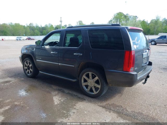 2011 CADILLAC ESCALADE 1GYS3BEF0BR155102 Photo 2