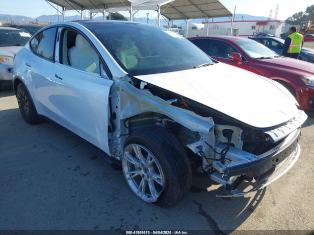 2023 TESLA MODEL Y 7SAYGDEE4PA114671