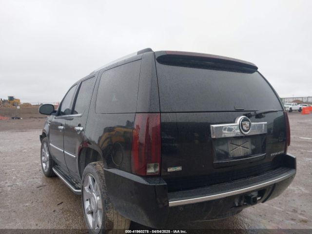 2010 CADILLAC ESCALADE 1GYUKAEF7AR114664 Photo 2