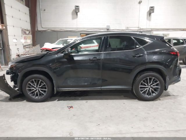 2T2AGCEZ4RC059009 Lexus NX 350
