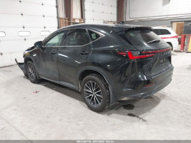 2T2AGCEZ4RC059009 Lexus NX 350