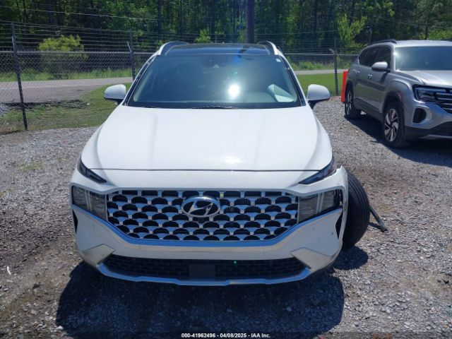 5NMS44AL2PH556852 Hyundai Santa Fe Limited