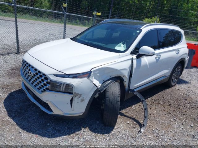 5NMS44AL2PH556852 Hyundai Santa Fe Limited