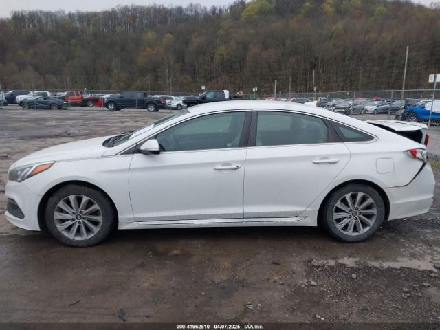 5NPE34AF5GH349871 Hyundai Sonata Sport
