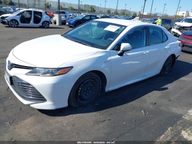 4T1C31AK3LU537366 Toyota Camry Le Hybrid