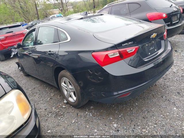 1G1ZD5ST7PF205959 Chevrolet Malibu Fwd 1lt
