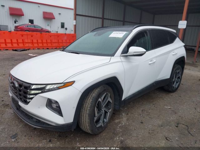 5NMJE3AEXPH236828 Hyundai Tucson Limited