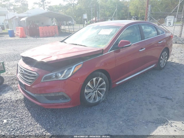 5NPE34AFXGH423771 Hyundai Sonata Sport