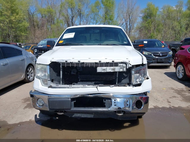 1FTFW1ETXEKD25655 Ford F-150 Xlt