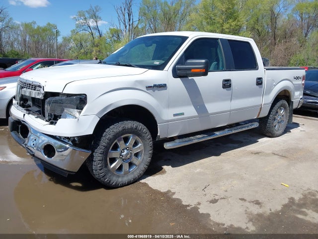 1FTFW1ETXEKD25655 Ford F-150 Xlt