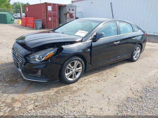 5NPE34AF3JH613161 Hyundai SONATA SEL
