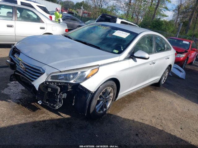 5NPE24AA7FH165229 Hyundai SONATA ECO