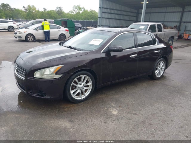 Продажа на аукционе авто 2010 Nissan Maxima 3.5 S, vin: 1N4AA5APXAC823597, номер лота: 41970712