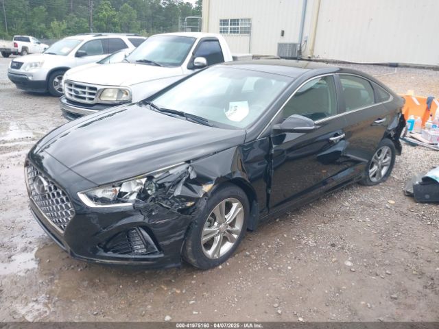 5NPE34AFXKH790436 Hyundai SONATA SEL