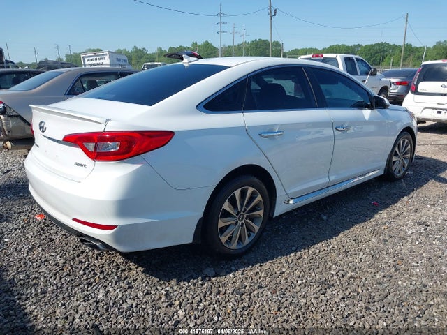 5NPE34AF4GH264536 Hyundai Sonata Sport