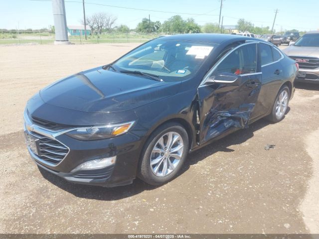 2019 CHEVROLET MALIBU 1G1ZD5ST0KF117828 Photo 1
